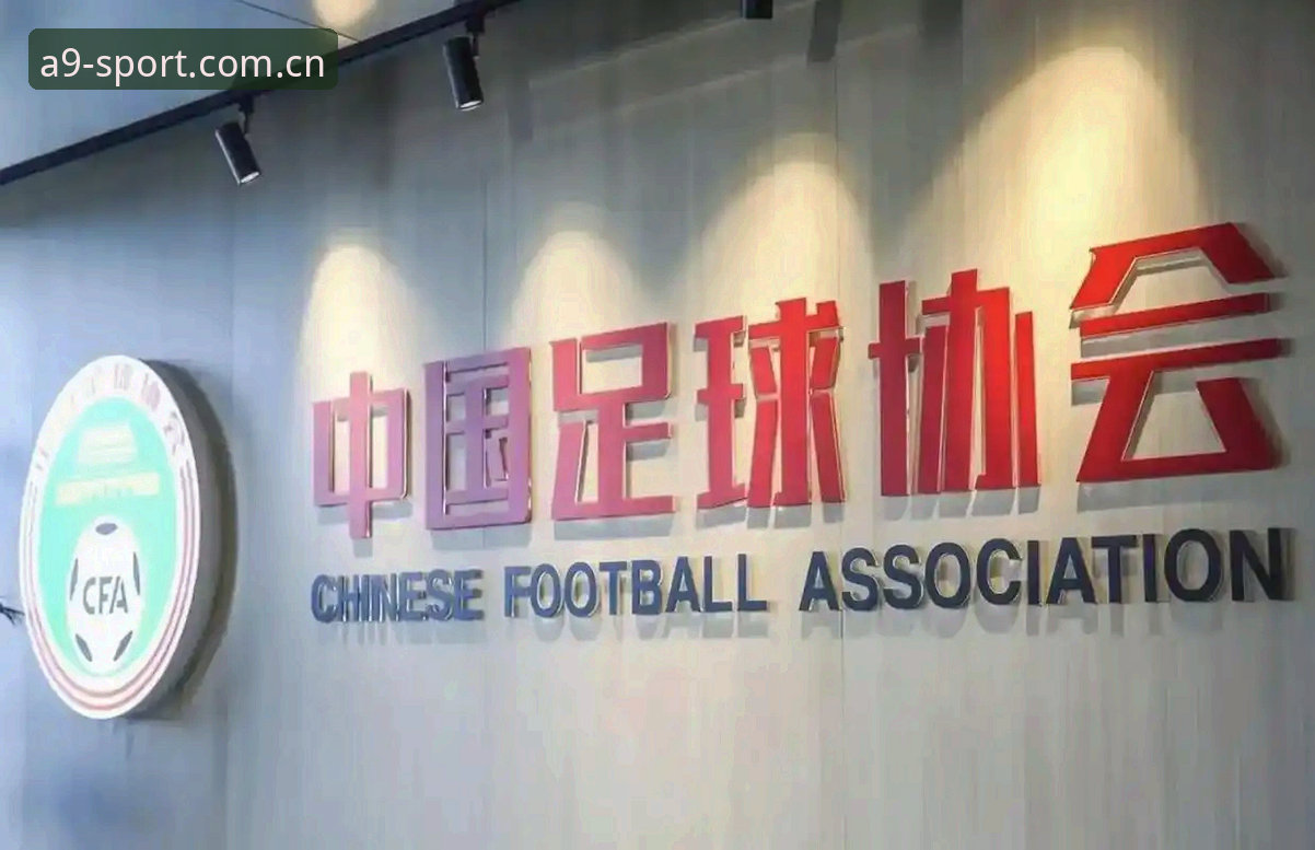 中国足协第三批禁足名单最新动态：65人受罚，足坛反腐风暴再升级
